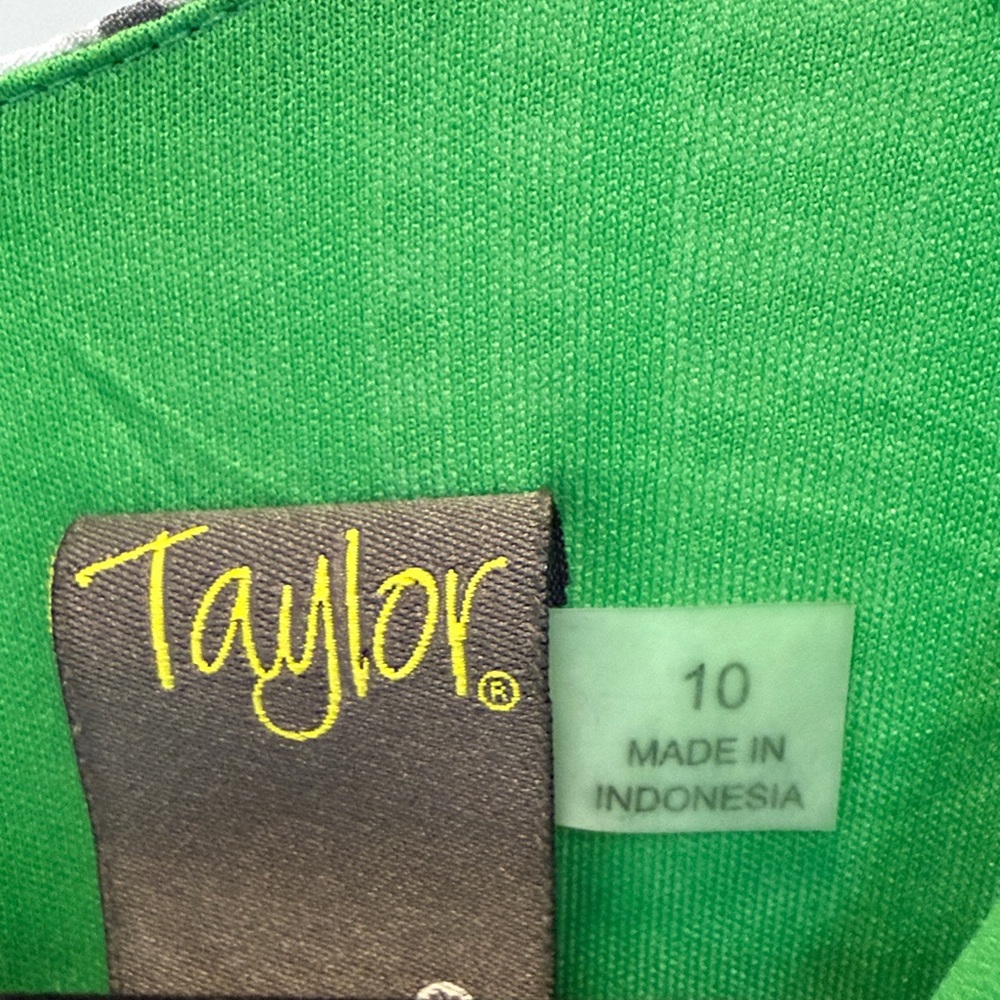 Taylor Elbow Sleeve V-Neck Smocked Waist Stripe Print Flare Dress. Size 10 - Picture 2 of 6